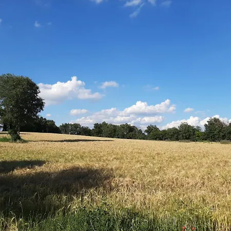 I Barbasse Autunno * Monzambano